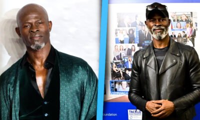 Djimon Hounsou Net Worth