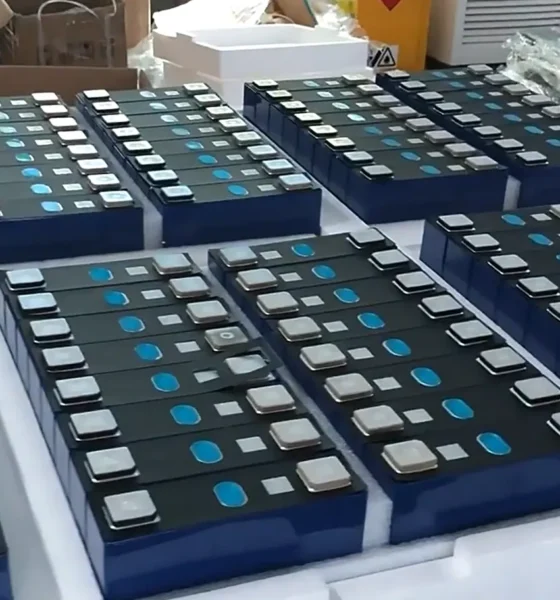 OEM LiFePO4 Lithium Battery