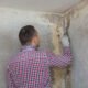 Mold Inspection